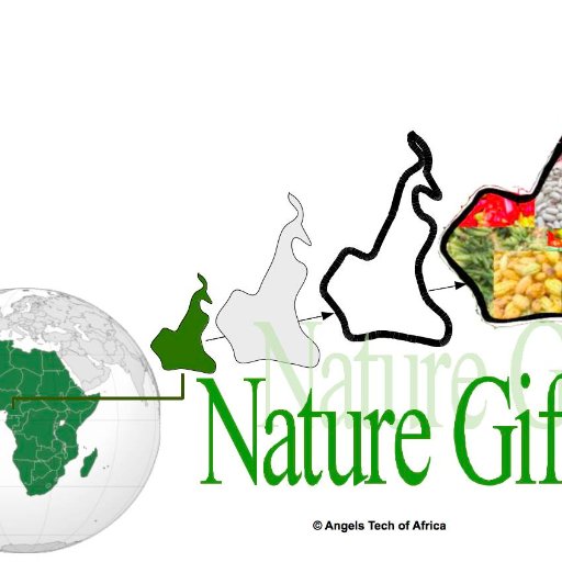 AngelsTechTeam's profile picture. Team of girl teenagers involved in @Technovation Competition from Cameroon #AmaAba #NatureGift