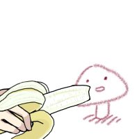 のこﾁｬﾝ (@noco0cm) 's Twitter Profile