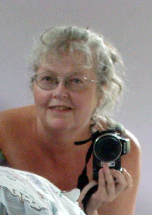 ncflix Profile Picture