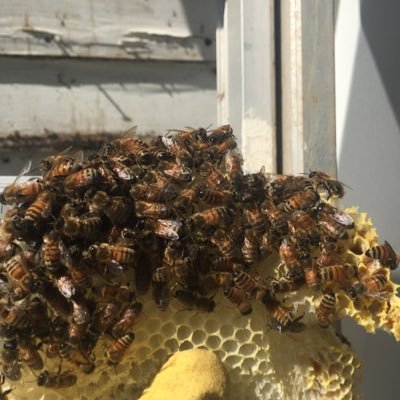 creeksidehome1's profile picture. 