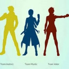 TriTeamGo's profile picture. 