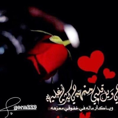 fofo8852fofo's profile picture. 