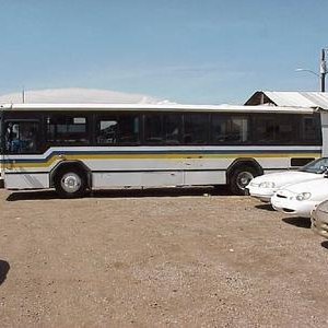 hertzbus135's profile picture. 