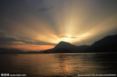 gooddoctorli's profile picture. 