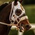Krazy B Racing (@krazybracing) Twitter profile photo Krazy B Racing (@krazybracing) Twitter profile photo