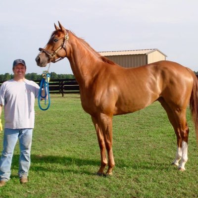 Thoroughbred owner/breeder, Southern Legacy Thoroughbreds LLC farm and racing stable, racetrack enthusiast, and unabashed animal lover.
