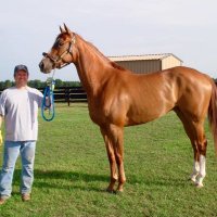 David Crisp (@southernlegacy) 's Twitter Profile