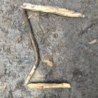 paul cross (@paulchafeecross) 's Twitter Profile