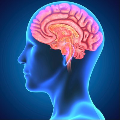I have a thought and then I tweet it. I do not filter thoughts. I tweet them all.