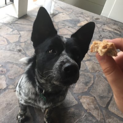 jrhouse6's profile picture. 