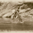 gplaper's profile image