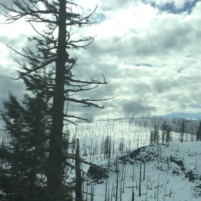 Pummeling's profile picture. 