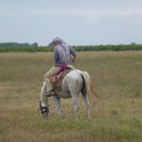 Dan Lawrence (@eliasdan) 's Twitter Profile Photo