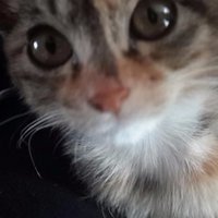 치런/괜찮은산호초🎗️ (@a_fine_c) 's Twitter Profile Photo 치런/괜찮은산호초🎗️ (@a_fine_c) 's Twitter Profile Photo