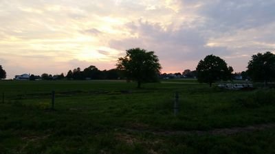 AlwayzTexas's profile picture. 