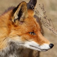 あめすきー -pluviam amo- (@pluviamamo) 's Twitter Profile Photo あめすきー -pluviam amo- (@pluviamamo) 's Twitter Profile Photo