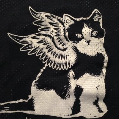 TYUL_Kittyhawks's profile picture. @TriangleUlty ‘s U-17 girls club ultimate team flying high at Youth Club Championships!