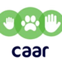 CAAR - Children, Adolescents & Animals Research (@childanimals) 's Twitter Profile