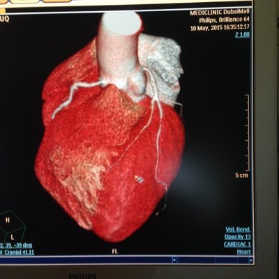faruqmb's profile picture. 