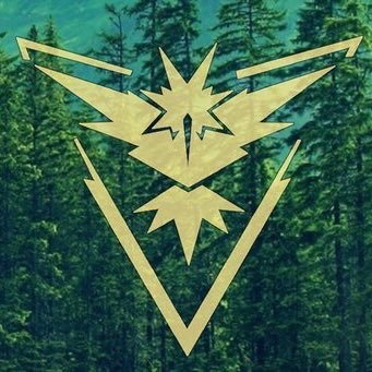 #1 West Virginia Team Instinct page #TeamInstinct #TeamInstinctWV Admins: @Byrnee20 @Tannerdworsky4