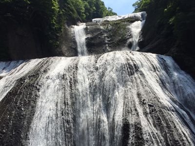 960117ss's profile picture. 