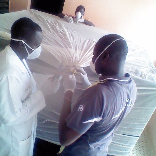 Dioufish's profile picture. #Malaria_Phd_student_Long_Lasting Nets evaluation