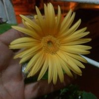 My (H) ForEver (@ahmadydoo) 's Twitter Profile
