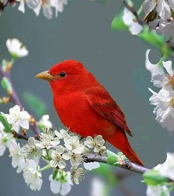 katy_kat64's profile picture. Mis amigas