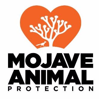 SaveTheMojave's profile picture. Mojave Animal Protection creates education and advocacy programs that inspire and empower people to protect the flora and fauna of the Mojave Desert ecoregion