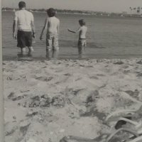 Mike Reeves (@mikevendee) 's Twitter Profile