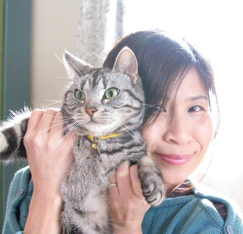 sawachan8's profile picture. ５にゃんの日常Photo～長男は腎不全で5月に旅立つ、腎不全予備軍は獣医通い中 おかんも現在の医療のおかげで透析40年目突入！浜省好き！kinkiも好き　#猫 #猫写真 #女子カメラ