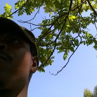 Collins (@collinsmayieka) 's Twitter Profile Photo