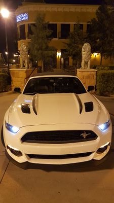 chivo8935's profile picture. 