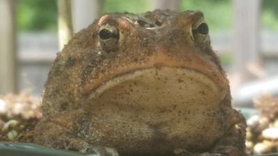 MrPretender1's profile picture. Options trader. Gaps, swings and intraday.  
        *** I am not a financial advisor ***