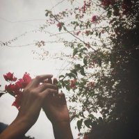 شيخه الحقباني💛 (@shaiy9) Twitter profile photo