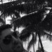 Rev (@drevenson) Twitter profile photo Rev (@drevenson) Twitter profile photo