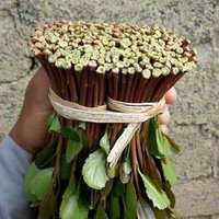 عاشق الحلوين (@1o64xct2sbilazi) Twitter profile photo