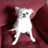 LeslieFatum's profile image