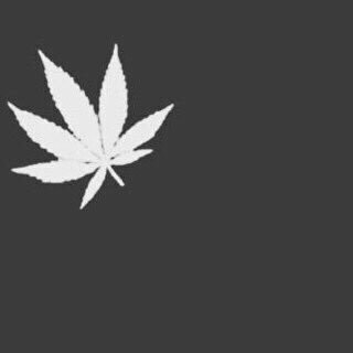 Zx31379976's profile picture. 