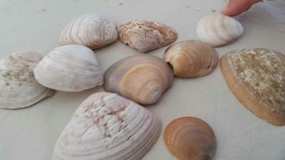 godiemg1's profile picture. 