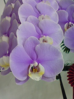 welmzone's profile picture. 医薬品に関わる仕事をしています。