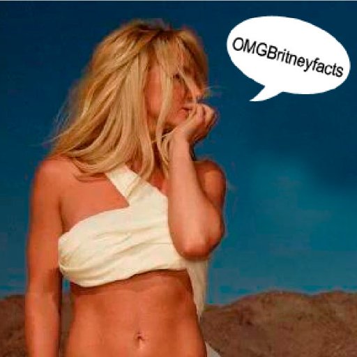 Official #OMGBritneyFacts account, send me your Britney facts & I'll RT! Scroll down the page to read more! Britney follows & tweeted my twitpic on Nov19 2011 ♥