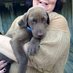 Tracy Stovall (@tratra1124) Twitter profile photo Tracy Stovall (@tratra1124) Twitter profile photo