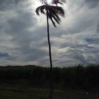 Kennethtownse15's profile picture. 