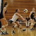 Tiger Elite VBC (@tigersvolleyba1) Twitter profile photo Tiger Elite VBC (@tigersvolleyba1) Twitter profile photo