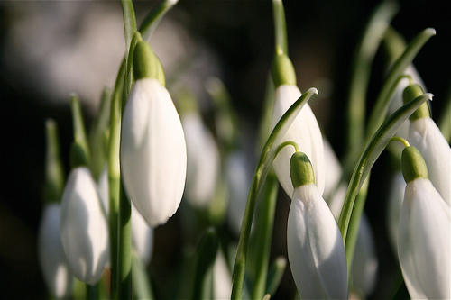 oanarebeca's profile picture. fundraiser for Princess Margarita of Romania's NGO (Romania), blogstoryteller, music lover and a very happy mother of a two year old miracle boy