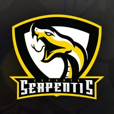 Multi-Gaming organization | Home to some of the top players in Counter-Strike: Global Offensive, League of Legends, and Duelyst. | #SeSPride