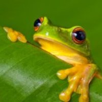 Keogh Lab (@keoghlabanu.bsky.social) (@keogh_lab) 's Twitter Profile Photo Keogh Lab (@keoghlabanu.bsky.social) (@keogh_lab) 's Twitter Profile Photo