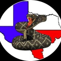 Coastal Bend Tea Party(@twteaparty) 's Twitter Profile Photo