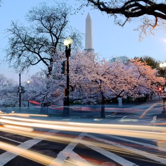 AshleyMay_007's profile picture. If you want to achieve greatness, stop asking for permission!

Whatever you do, DON'T SETTLE!